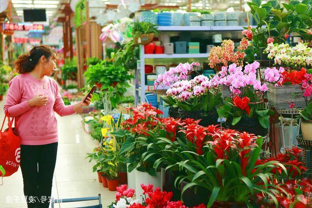 沧州多种多样唐山花卉市场厂家